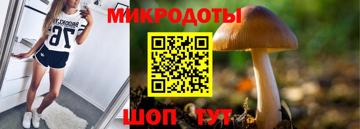 купить закладку  Галлюциногенные грибы Magic Shrooms  Вход с VPN  Лангепас 